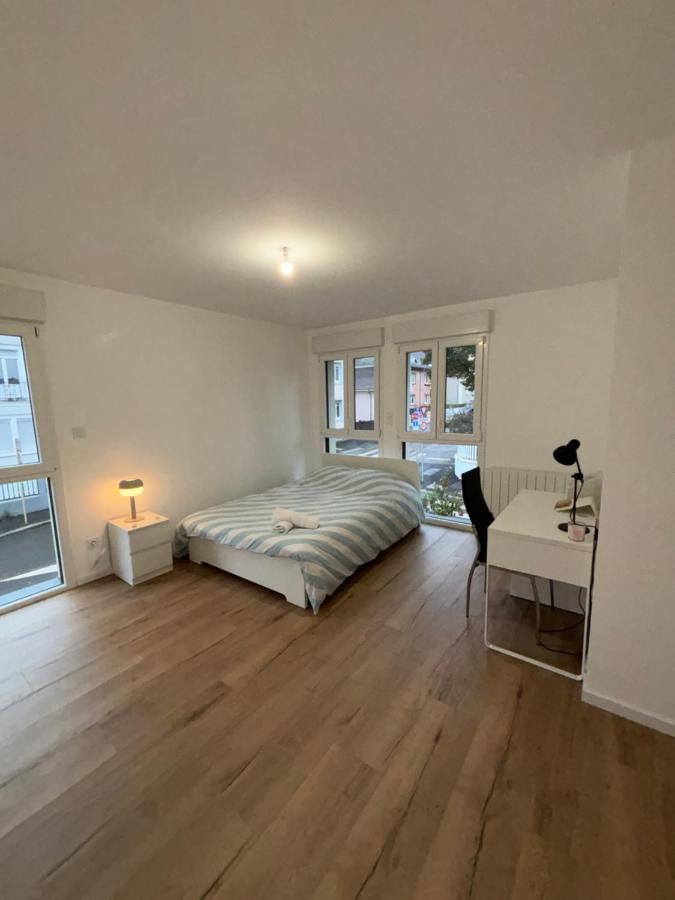 מולהאוס Appartement + Parking + Terrasse מראה חיצוני תמונה